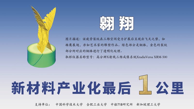小标题：防腐剂的作用与重要性