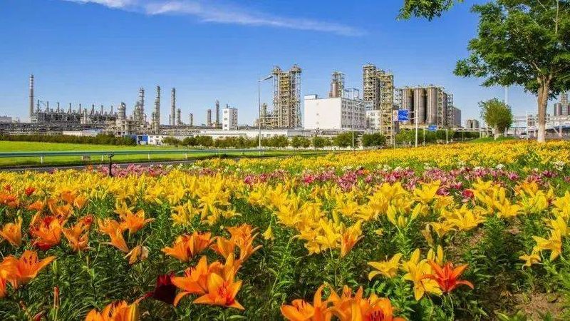 复合材料加盟费一般多少？揭秘加盟背后的成本与价值